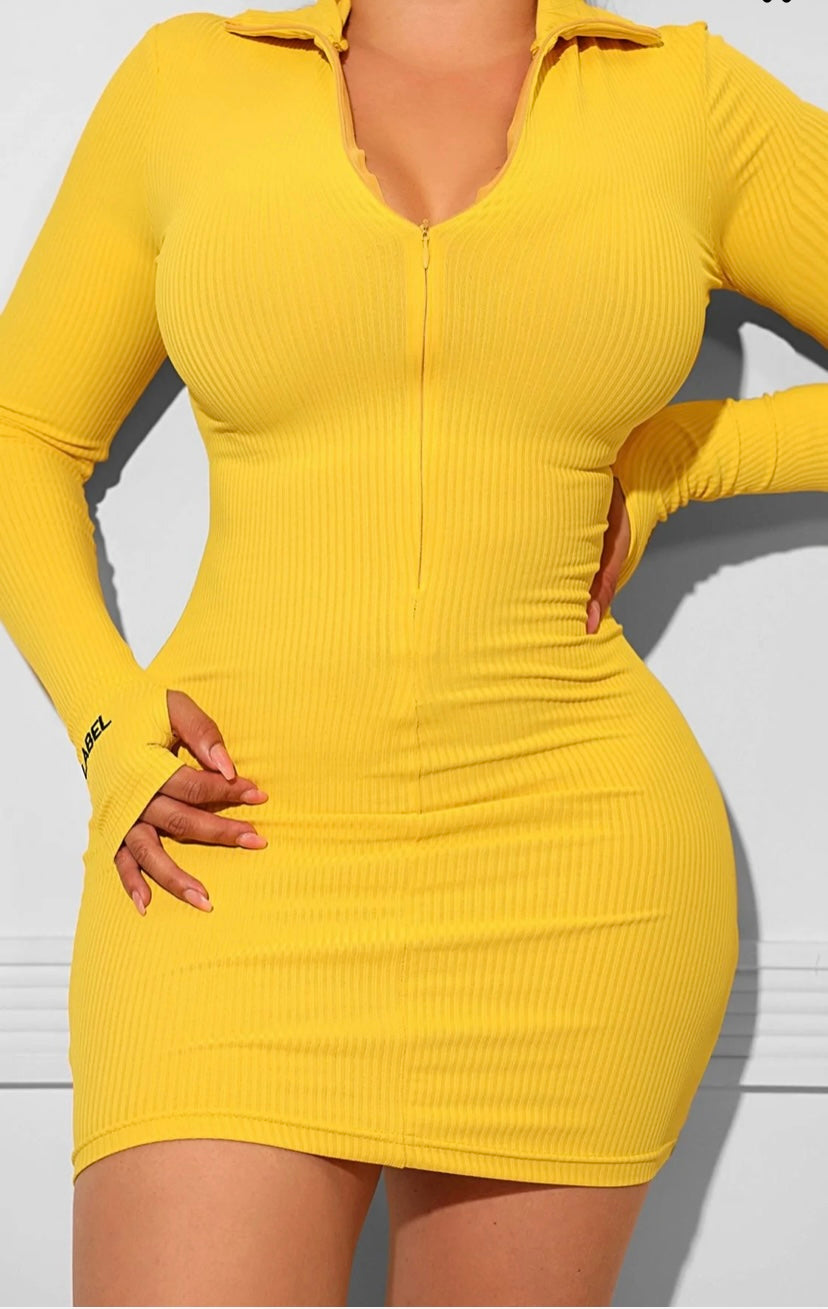 Lucky Label Zipper Dress