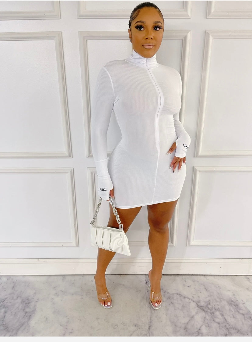 Lucky Label Zipper Dress