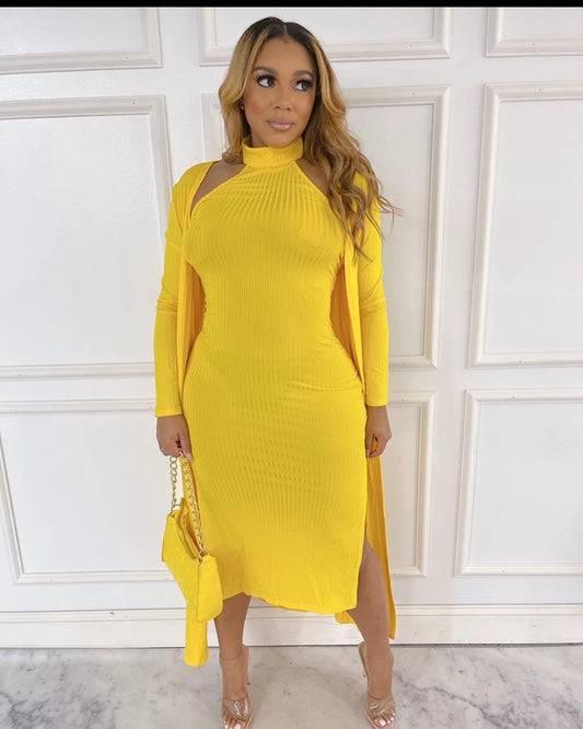 Misty Bodycon Dress/Cardigan