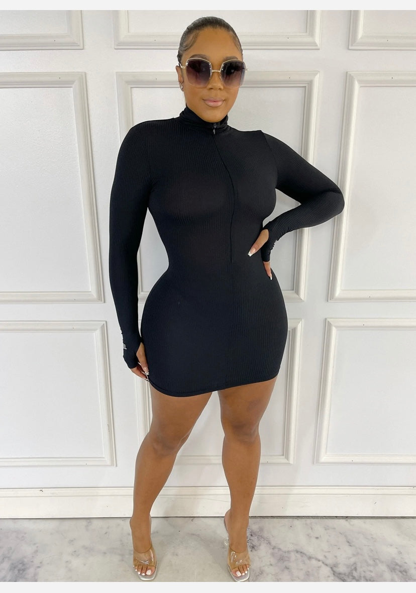 Lucky Label Zipper Dress