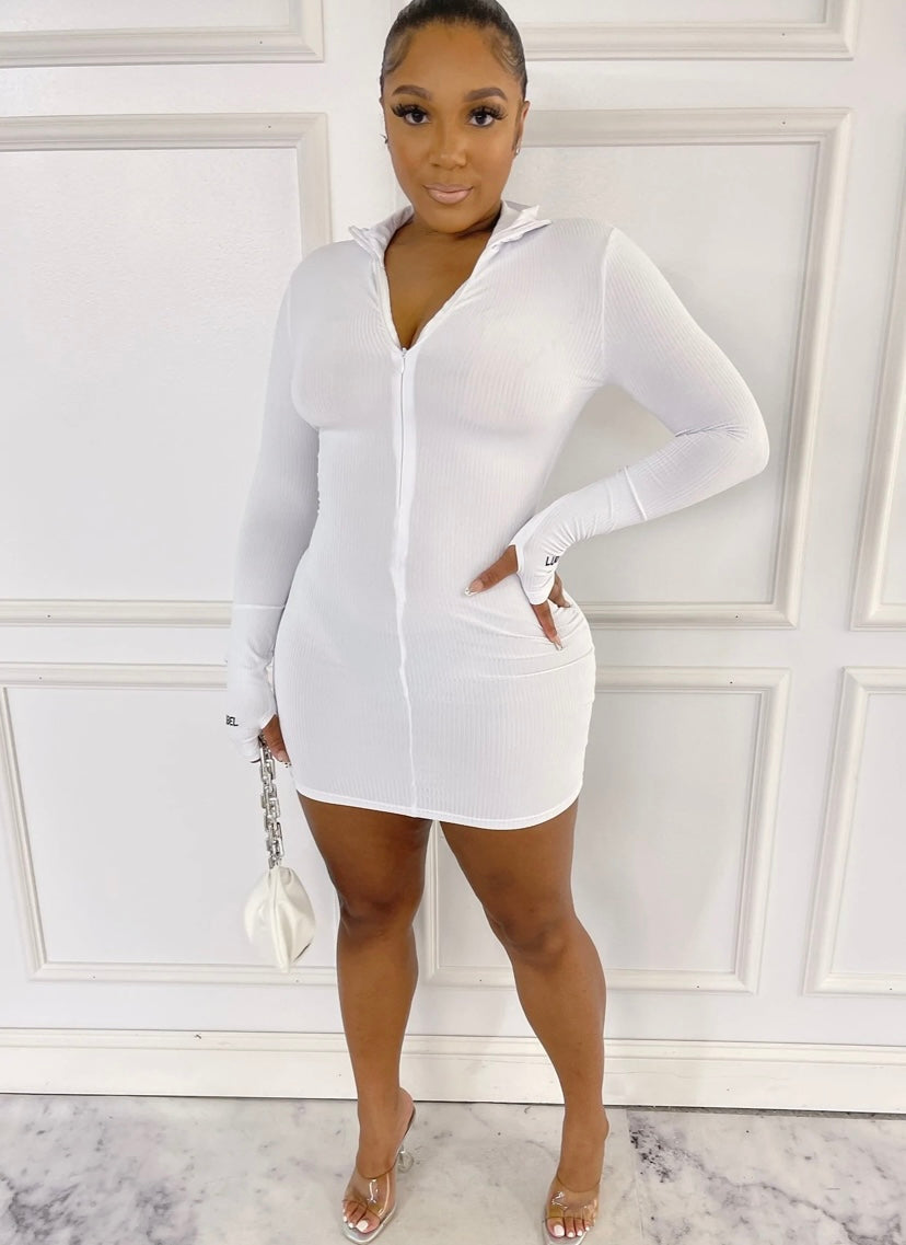 Lucky Label Zipper Dress